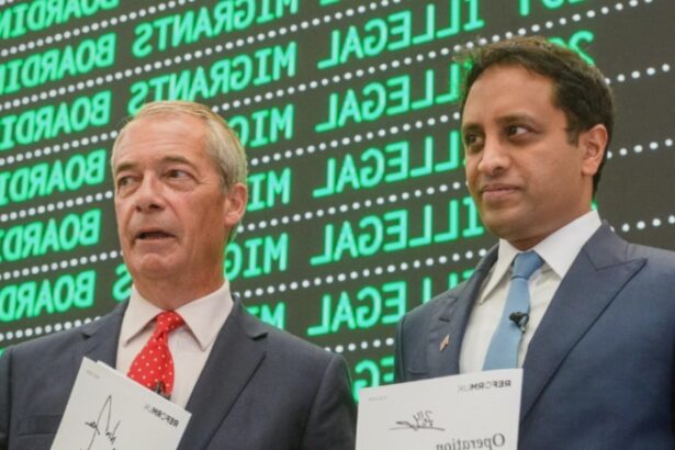 artizanul iesirii marii britanii din ue promite acum 5 zboruri pe zi pentru deportarea migrantilor partidul sau conduce in sondaje 68adc54f3e572