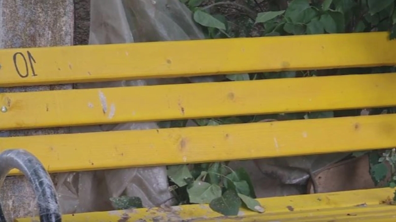 Bănci strălucitoare de 120.000 de lei în comuna fără canalizare. Primarul se bucură de această realizare 1 banci galbene de 120 000 de lei in comuna fara canalizare primarul se mandreste cu investitia 68a6dd9e5ed43