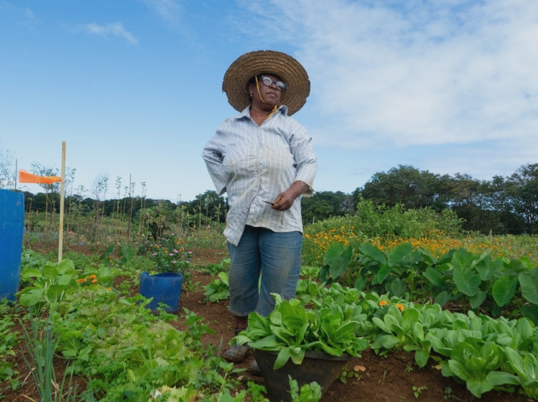 Revoluția feminină în agricultură: cum o deversare de petrol în Mauritius a adus bok choy în grădinile noastre 1 bringing home the bok choi how an oil spill in mauritius led to a female revolution in farming 68b127ba9be55