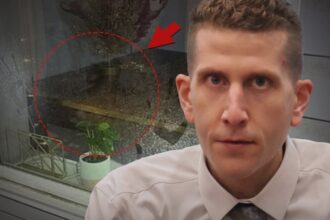 bryan kohberger may have left an eerie imprint on window of murder house 68a5c6bc21674