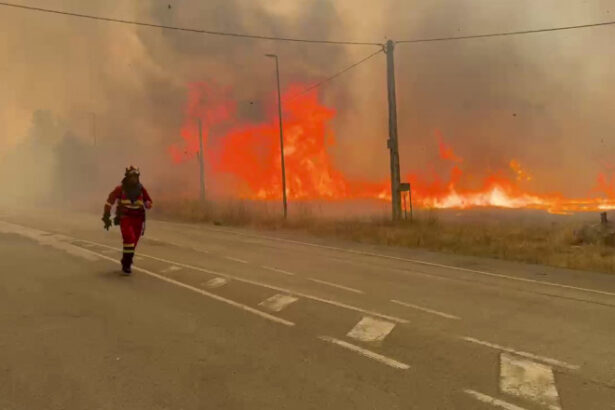 canicula record in sudul europei un cocktail molotov climatic alimenteaza incendii uriase in zona mediteraneana 6899ff412f79c