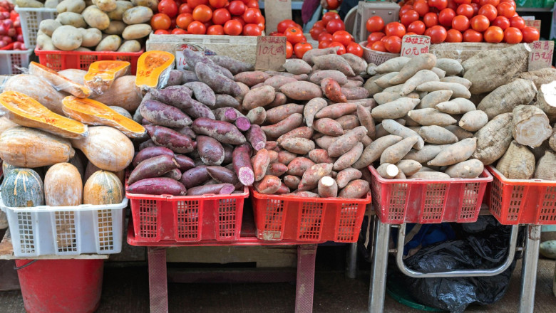 Descoperirea surprinzătoare: cartofii și roșiile, veri de neam, pot transforma agricultura prin legătura lor ascunsă 1 cartofii si rosiile au un stramos comun iar asta poate ajuta la revolutionarea agriculturii tomate la suprafata tuberculi in pamant 688e1369a6cb9