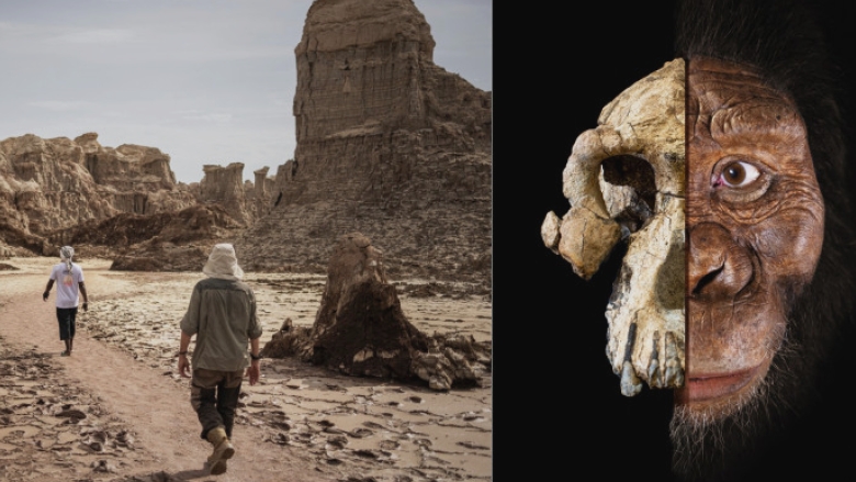 O nouă descoperire în rândul hominizilor promite să transforme înțelegerea evoluției umane 1 cercetatorii au descoperit o noua specie de hominizi care ar putea schimba povestea evolutiei omului 68a2b3236ae56