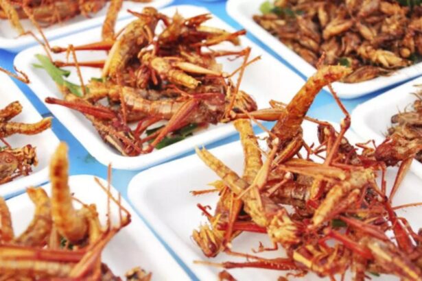 cum sa descoperi daca produsele de la raft contin faina de insecte detaliul de pe eticheta care ii da de gol pe producatorii necinstiti 68b2eed1b85df