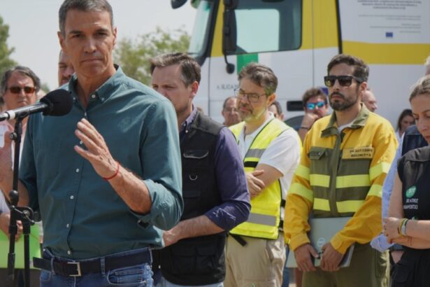 deadly wildfires show spain must better prepare for climate crises says sanchez 68a48e1e8aeea