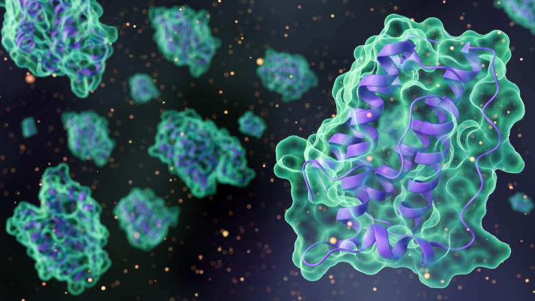 Tratamentul diabetului de tip 1 fără insulină: cercetătorii explorează influența unui hormon asupra creierului 1 diabetul de tip 1 ar putea fi tratat fara insulina cercetatorii testeaza efectele unui hormon asupra creierului 6890a29879aa5