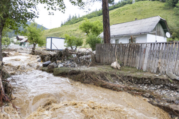 diana buzoianu apele romane au stat pe un munte bani au avut 350 de milioane de euro pentru diguri baraje si s au pierdut banii 688e8bd5b2fc4