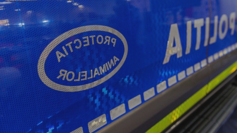 O femeie a fost surprinsă cu doi măgari legați de un automobil. Poliția: „Nu este necesară intervenția pentru adăpostirea animalelor.” 1 femeie filmata cu doi magari legati de o masina politia nu se impune emiterea unui ordin de plasare in adapost a animalelor 68a20844803e6