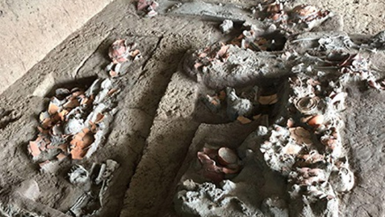 Descoperire fascinantă: dinți de 4.000 de ani dezvăluie consumul de nuci cu efect psihoactiv de către strămoșii noștri 1 foto descoperire rara dinti vechi de 4 000 de ani arata ca oamenii consumau nuci cu efecte psihoactive 689055701b28e