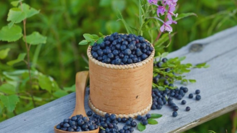 Fructele care îți pot transforma vederea. Frecvența ideală de consum 1 fructele care imbunatatesc vederea cat de des trebuie sa le consumi 68b1898b11993