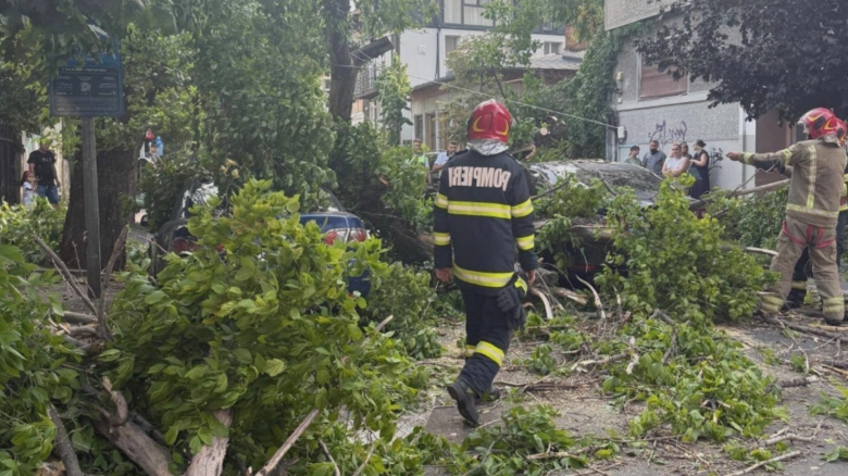Furtuna a adus dezordine în Capitală și în întreaga țară, cu răniți și copaci doborâți pe străzi și peste vehicule 1 furtuna a provocat haos in capitala dar si in tara persoane ranite si copaci cazuti peste carosabil si masini video 68a8aff12a370