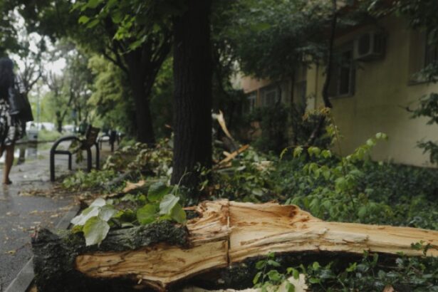 furtunile se muta in jumatatea de sud a tarii meteorolog o vreme schimbatoare si cu intervale de instabilitate 68a2be47c5e40