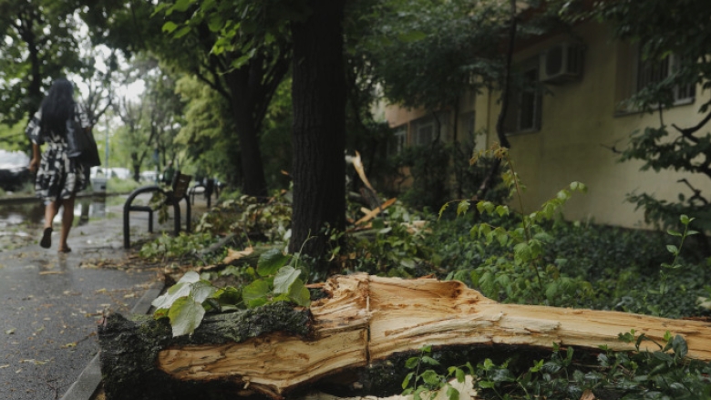 Furtunile își îndreaptă atenția spre sudul țării. Meteorolog: „Urmează o perioadă cu vreme capricioasă și momente de instabilitate.” 1 furtunile se muta in jumatatea de sud a tarii meteorolog o vreme schimbatoare si cu intervale de instabilitate 68a2be47c5e40