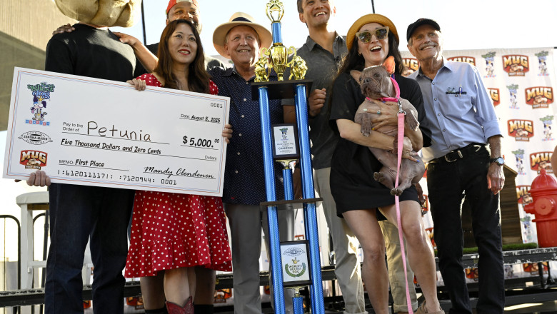 Petunia, bulldogul francez fără blană, încoronat drept „cel mai puțin atrăgător câine din lume” și recompensat cu 5.000 de dolari 1 galerie foto un bulldog francez fara par a fost declarat cel mai urat caine din lume petunia a castigat un premiu de 5 000 de dolari 689763e9c38c1