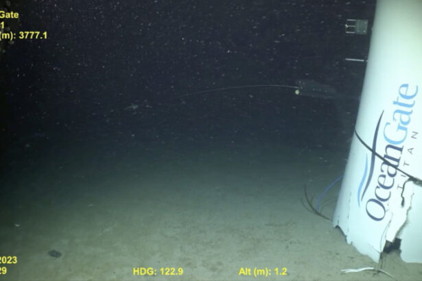 implozia submersibilului titan in care au murit 5 oameni putea fi prevenita concluziile autoritatilor sua 68922c1227551