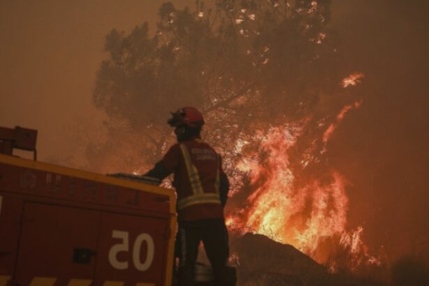 incendii de vegetatie uriase in portugalia lisabona cere ajutorul europei 68a178bf9be4c