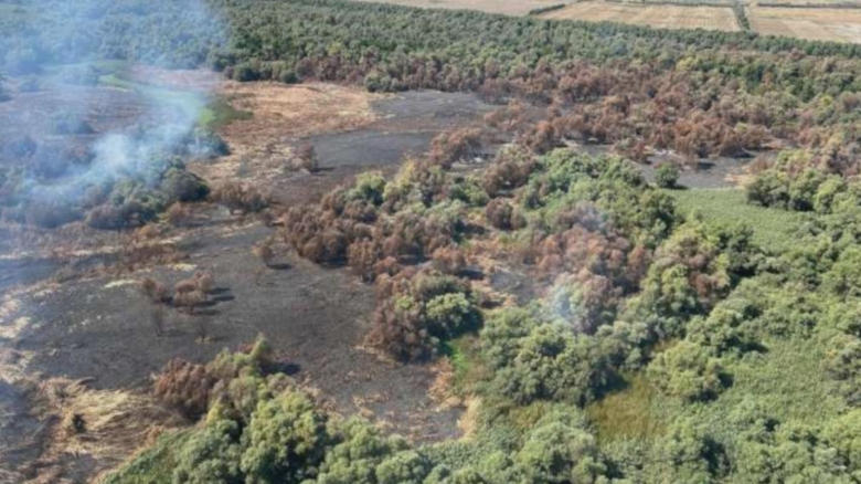 Flăcările devastatoare din Delta Dunării: Peste 50 de hectare de vegetație și pădure distruse 1 incendiu de proportii in delta dunarii circa 50 de hectare de vegetatie si padure au fost mistuite de flacari 68a4a47a03c3a