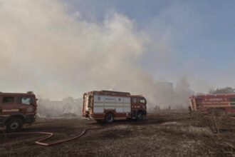 incendiu de vegetatie in sectorul 6 a fost emis un mesaj ro alert foto video 68b05b29400e8