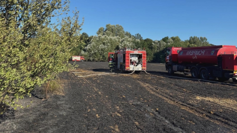 Flăcările mistuiesc un sat de lângă București: șapte hectare de vegetație distruse și o casă în ruine, fără victime raportate 1 incendiu devastator intr un sat de langa bucuresti ard sapte hectare de vegetatie o casa a fost cuprinsa de flacari nu sunt victime foto video 68ab2a7af0e6f