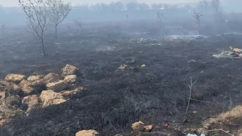 Flăcări de proporții în zona periferică a Craiovei; autoritățile transmit un mesaj RO-Alert 1 incendiu urias de vegetatie la periferia craiovei autoritatile au emis un mesaj ro alert video 68ab133dc78d6