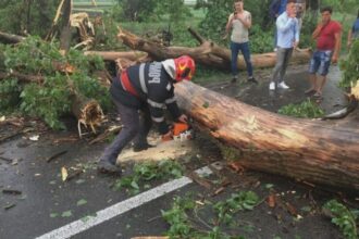 incident grav in sectroul 2 al capitalei un copac a cazut peste doua femei 68a3424a5c679