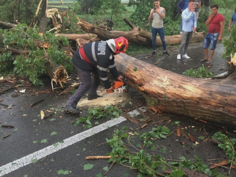 Accident serios în Sectorul 2 al Bucureștiului! Un copac s-a prăbușit peste două femei 1 incident grav in sectroul 2 al capitalei un copac a cazut peste doua femei 68a3424a5c679