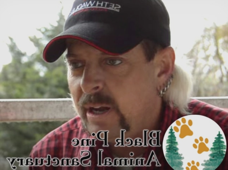 Joe Exotic dă în judecată sanctuarul de animale pentru sterilizarea tigrilor 1 joe exotic sues animal sanctuary for allegedly spaying neutering tigers 68b21816c554f
