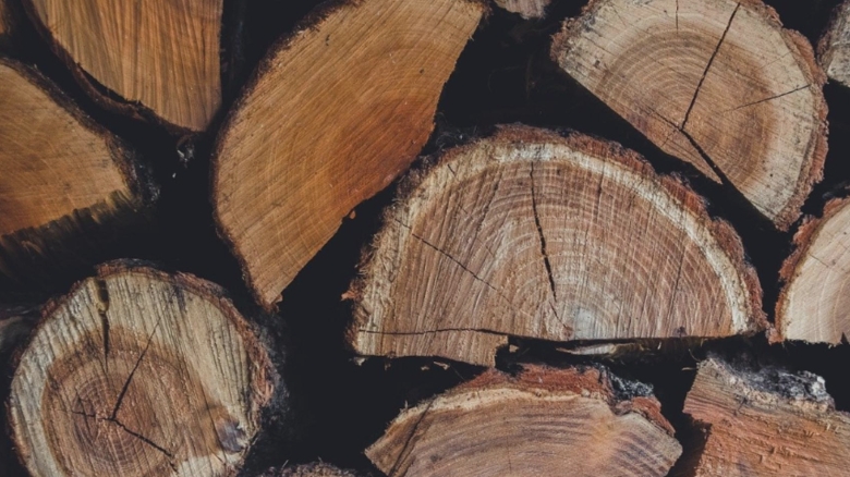 Prețuri piperate pentru lemne de foc: românii ajung să plătească până la 600 de lei pe metru cub 1 lemne scumpe foc romanii platesc si 600 de lei pe metrul cub 68b44d0ca9872