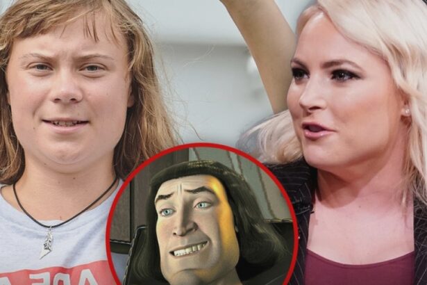 meghan mccain roasts greta thunbergs hair says she looks like lord farquaad 68b4a328766fa