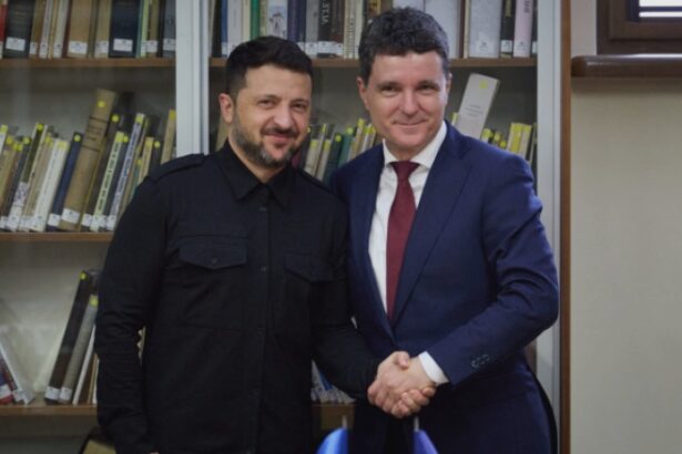 nicusor dan romania s a oferit sa contribuie la garantii solide de securitate pentru ucraina 68a2201369813