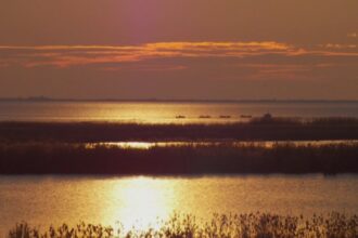 nivelul apei din complexul razim sinoe tot mai scazut semnalul de alarma tras de specialisti 68ac51a3c26d7