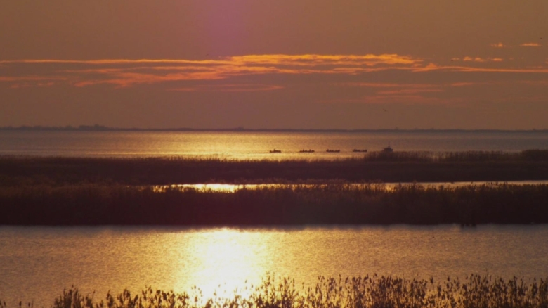 Atenționare din partea experților: Nivelul apei în complexul Razim-Sinoe continuă să scadă 1 nivelul apei din complexul razim sinoe tot mai scazut semnalul de alarma tras de specialisti 68ac51a3c26d7