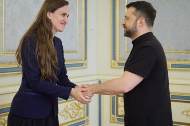 oana toiu romania sustine varianta negocierilor bazate pe incetarea focului in ucraina 68a23db6cf290