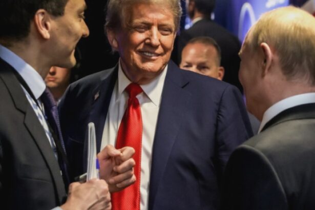 oferta lui putin catre trump ucraina trebuie sa se retraga complet din donetk ce ofera rusia la schimb 68a0a6c4af0af