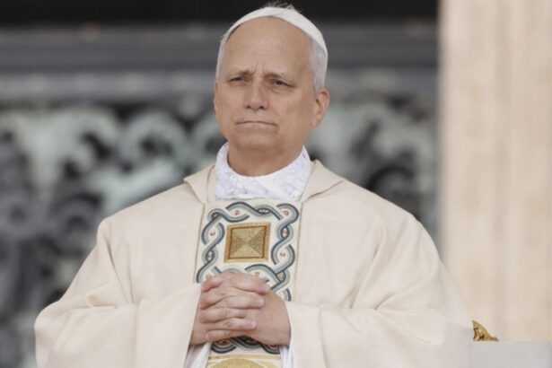 papa leon indemn la post si rugaciune pentru pace pamantul nostru continua sa fie ranit de razboaie 68a5feb3b4e78