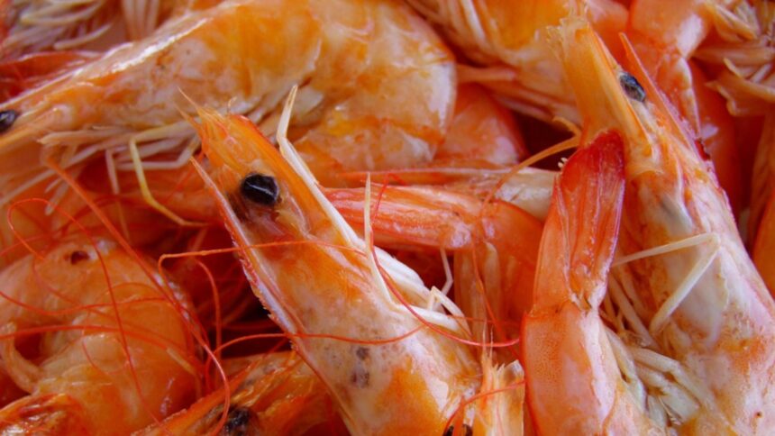 Atenție la riscurile alimentare: creveți contaminați cu radiații descoperiți în rețeaua de magazine, pericol crescut de cancer 1 pericol alimentar creveti radioactivi intr un lant de magazine risc de cancer crescut 68a71e5e2905f