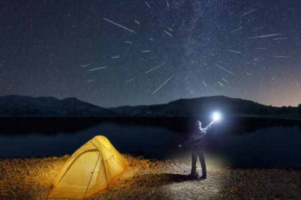 perseide 2025 fenomenul astronomic atinge apogeul in aceasta noapte din ce zone se pot observa pana la 100 de meteori pe ora 689acef6a47ae