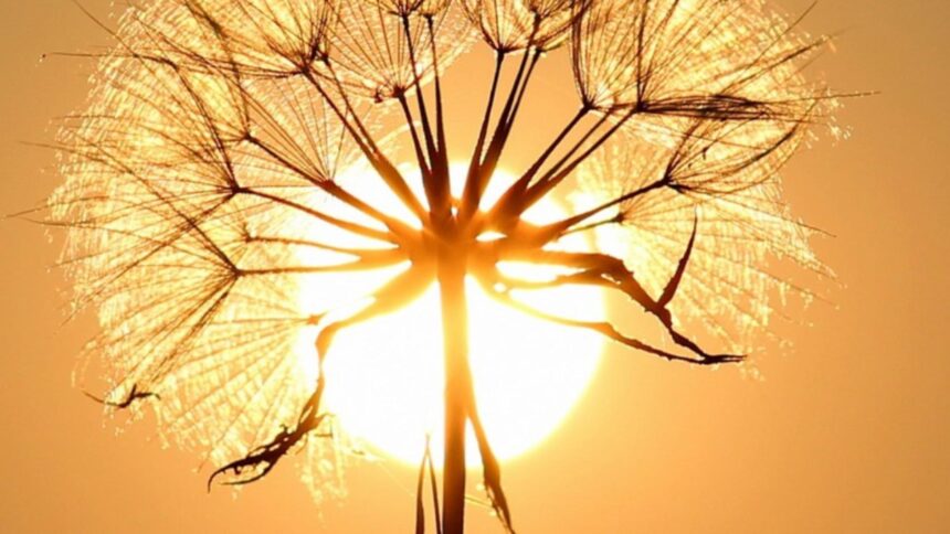 Vremea pe 30 august: Un sfârșit de vară plin de surprize, cu călduri insuportabile și furtuni devastatoare 1 prognoza meteo 30 august final de vara cu surprize intre canicula sufocanta si furtuni violente 68b281939ff70