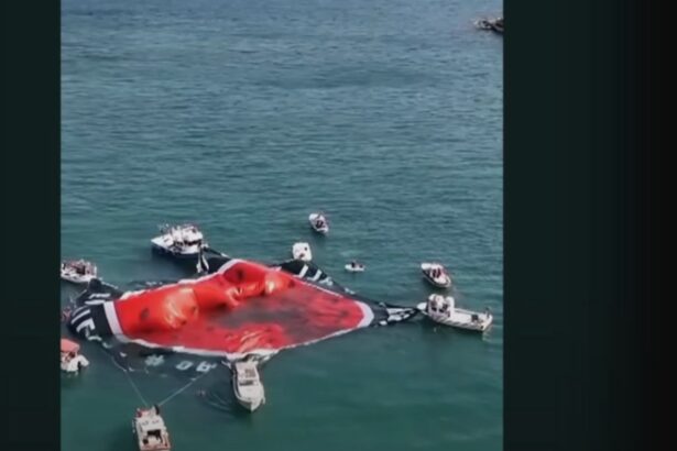 protest in portul din istanbul activisti au afisat bannere pro palestiniene in barci pe bosfor 68aab674c7a3e