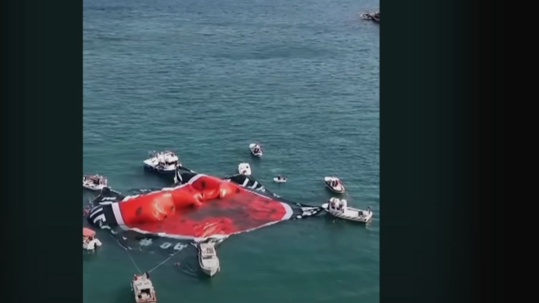 Demonstrație pe Bosfor: Activiștii au ridicat bannere pro-palestiniene din bărcile lor în portul Istanbul 1 protest in portul din istanbul activisti au afisat bannere pro palestiniene in barci pe bosfor 68aab674c7a3e