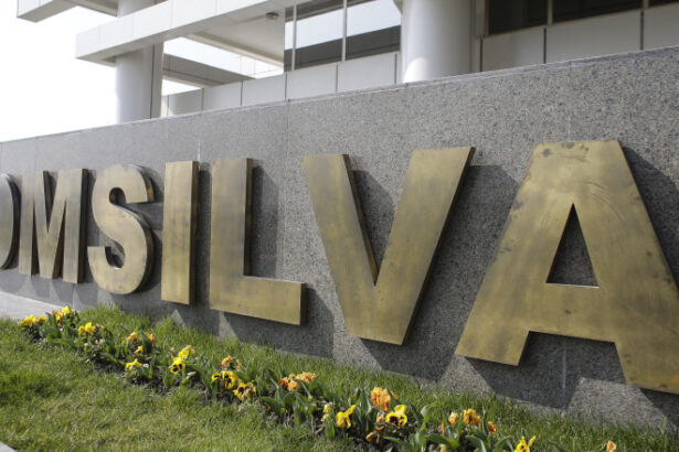 romsilva cauta un director provizoriu pentru un mandat de cinci luni 689a05df0c5ef