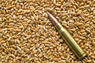 rusia isi creste exporturile de grau pe baza cerealelor din teritoriile ocupate in ucraina 689349f2b3a01