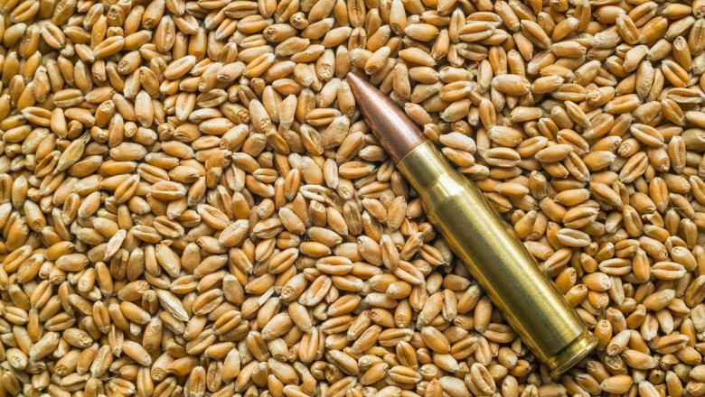 Rusia își amplifică livrările de grâu, valorificând recoltele din regiunile ocupate ale Ucrainei 1 rusia isi creste exporturile de grau pe baza cerealelor din teritoriile ocupate in ucraina 689349f2b3a01