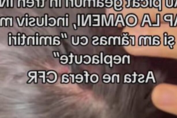 scene socante intr un tren din romania o femeie si o copila de 12 ani au fost ranite dupa ce mai multe geamuri s au spart in mers 68a45e84bff6c
