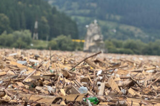 stare de alerta in poiana teiului deseuri si cadavre de animale au impanzit lacul izvorul muntelui bicaz dupa inundatii 688d257d9dbc1