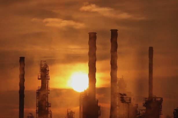 uk falling behind eu on environmental rules amid post brexit rollback 68a48735432d1