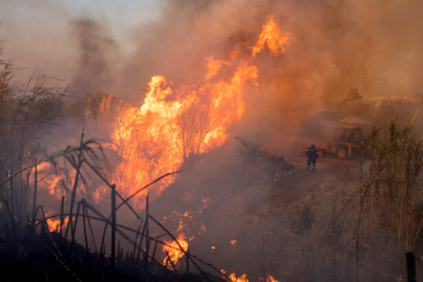 un incendiu de proportii arde necontrolat la sud est de atena 689620c740f2d