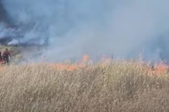 un nou incendiu de amploare ard 40 de hectare de vegetatie in buzau video 68ab4c603cd0a