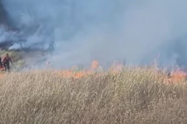 un nou incendiu de amploare ard 40 de hectare de vegetatie in buzau video 68ab4c603cd0a