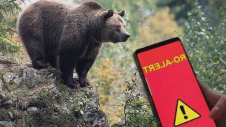 Un urs a fost zărit pe străzile din Sinaia, iar locuitorii au fost alertați prin RO-ALERT 1 un urs si a facut aparitia pe o strada din sinaia populatia avertizata prin ro alert 68b152788e7f2